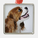 Search for officer” christmas tree decorations Animal