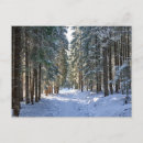 Search for ice postcards Woodland
