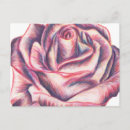 Search for original drawing postcards Flower