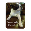 Search for rescue dogs rectangular magnets Cute