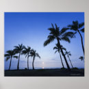 Search for tropical climate posters Palm tree