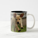 Search for yellow labrador mugs Pets