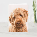 Search for goldendoodle cards Adorable