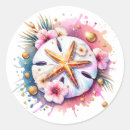 Search for sand dollar stickers Tropical