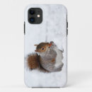 Search for squirrel photos iphone cases Animals