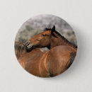 Search for touching badges Horse