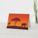 Search for african cards Giraffe