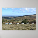 Search for dartmoor posters Farm