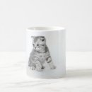 Search for scottish fold mugs Kitten