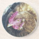 Search for chickens coasters Watercolor