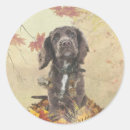 Search for cocker spaniel puppy stickers Pet