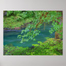 Search for washington state parks posters Jaynes gallery
