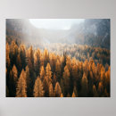 Search for earthy art Nature