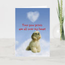 Search for american cocker cards Spaniel