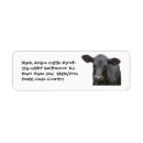 Search for bulls return address labels Cattle