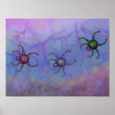 Search for crustacean posters Marine life