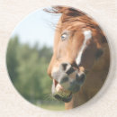 Search for funny horse coasters Humour