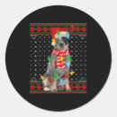 Search for blue heeler stickers Dog