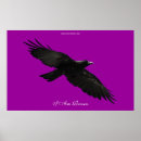 Search for black raven flying art Ravens