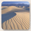 Search for califorinia Sandy