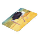 Search for ostrich magnets Humour