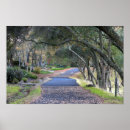 Search for walking path posters Fall