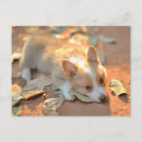Search for cute corgi postcards Queen elizabeth's