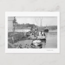 Search for lantern fish postcards View