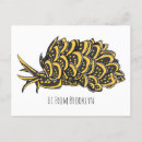 Search for slugs postcards Gastropod