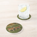 Search for meadow coasters Mountain