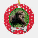 Search for dog christmas tree decorations new puppy
