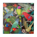Search for parrot tiles Budgie