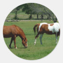 Search for chestnut stickers Horse
