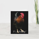 Search for chicken birthday cards Feathers