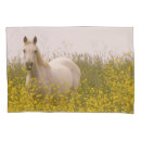 Search for white horse pillowcases Landscapes