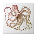 Search for octopus tiles whimsical