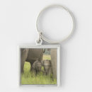 Search for india elephant key rings Asian