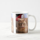 Search for fat cat mugs Orange