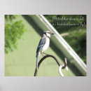 Search for blue jay posters Bird
