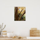 Search for photograph posters Tree