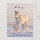 Search for equine image cards Equestrian