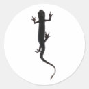 Search for newts stickers Amphibian