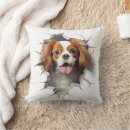 Search for cavalier king charles spaniel cushions Pet