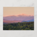 Search for new hampshire postcards Woodland