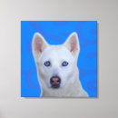 Search for siberian husky art White