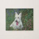 Search for scottie dog puzzles Scotty