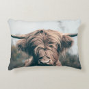 Search for highland cow cushions Scotland