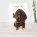 Search for noses cards Sweet