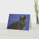 Search for blue cat birthday cards Happy
