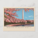 Search for washington monument postcards Cherry blossoms